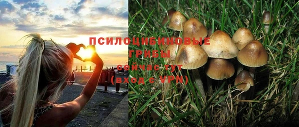 стафф Богородск