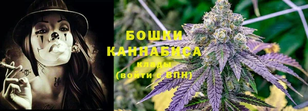 стафф Богородск