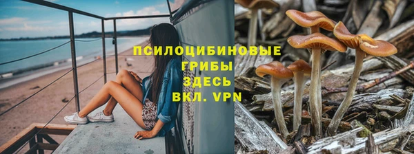 амфетамин Богданович