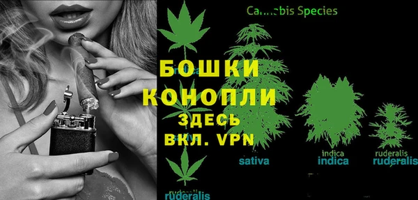 2c-b Богородицк