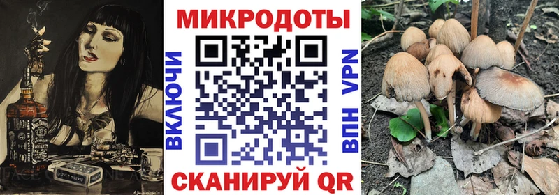 Псилоцибиновые грибы Psilocybe  Вятские Поляны 